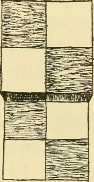 An illustration from Raphia and reed weaving, including also cardboard and paper construction; a practical course for primary and elementary schools, 1901, leaf 27