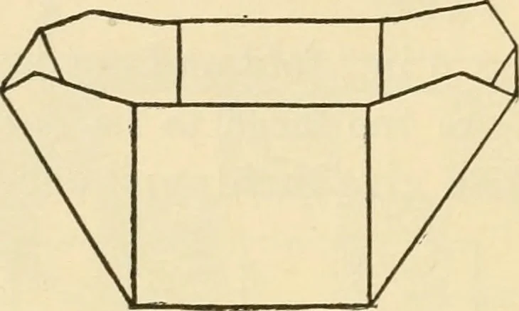 An illustration from Raphia and reed weaving, including also cardboard and paper construction; a practical course for primary and elementary schools, 1901, leaf 29