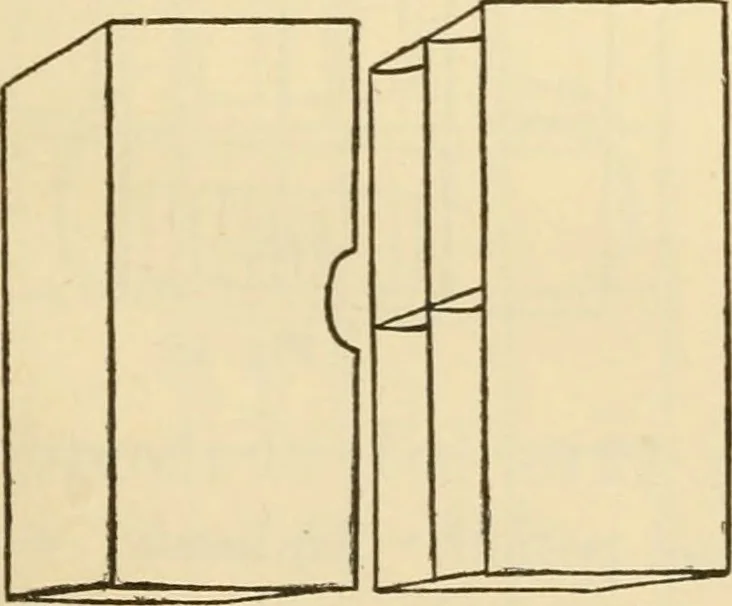 An illustration from Raphia and reed weaving, including also cardboard and paper construction; a practical course for primary and elementary schools, 1901, leaf 30