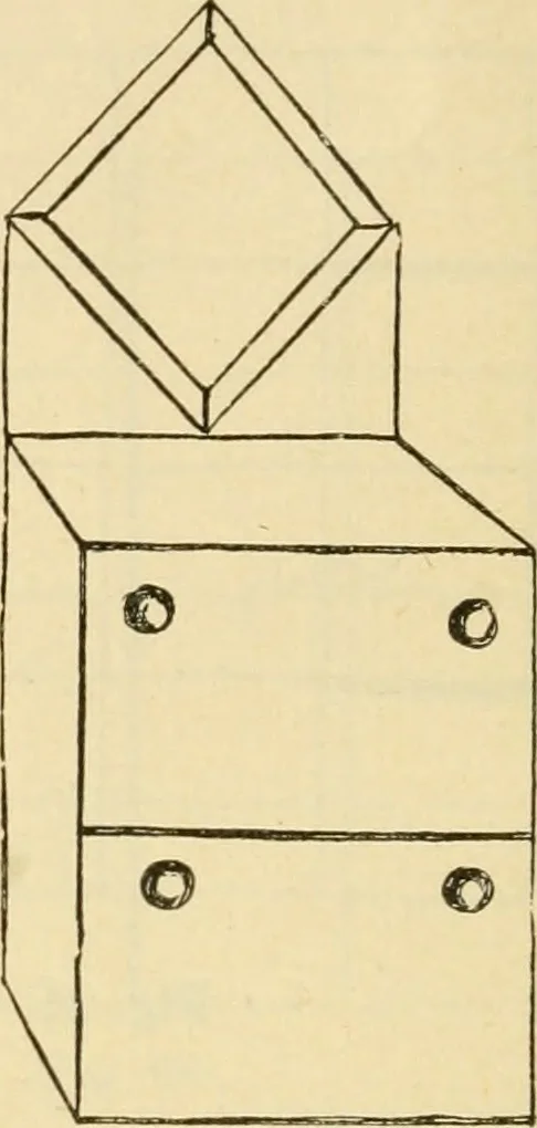 An illustration from Raphia and reed weaving, including also cardboard and paper construction; a practical course for primary and elementary schools, 1901, leaf 35