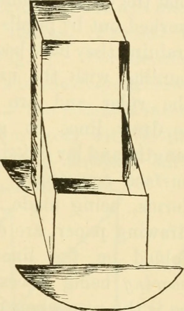 An illustration from Raphia and reed weaving, including also cardboard and paper construction; a practical course for primary and elementary schools, 1901, leaf 36
