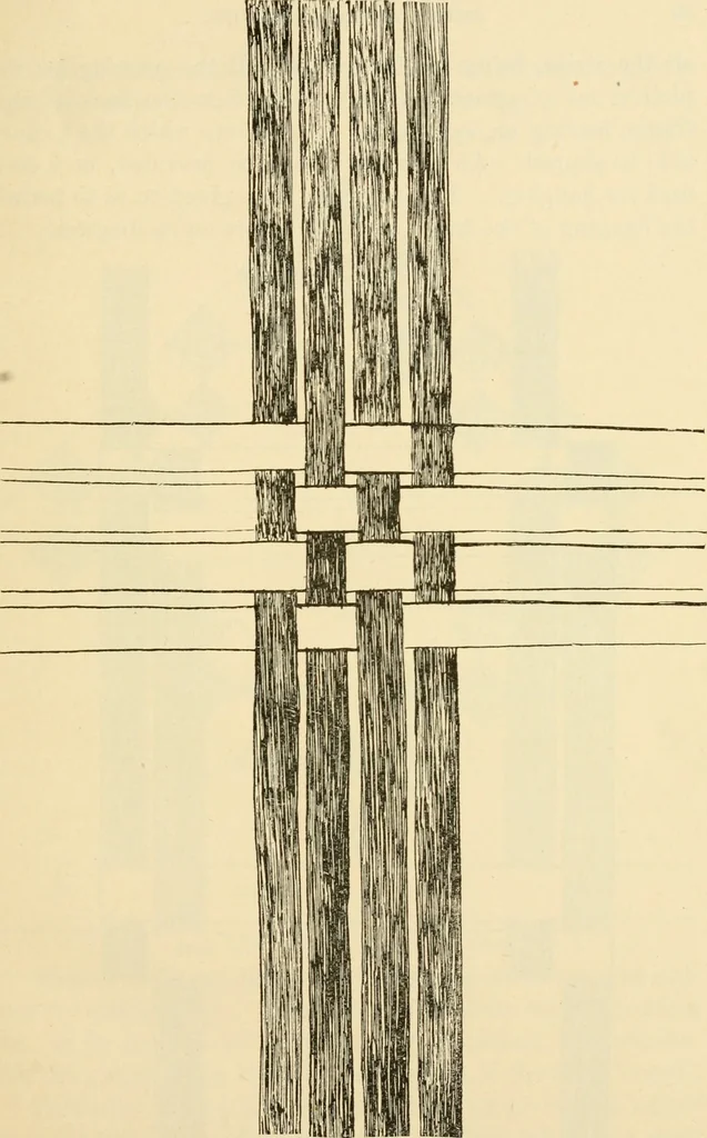 An illustration from Raphia and reed weaving, including also cardboard and paper construction; a practical course for primary and elementary schools, 1901, leaf 42