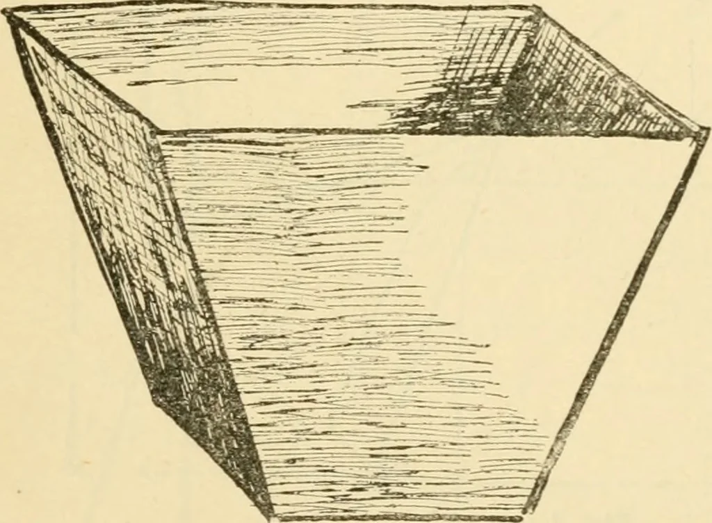 An illustration from Raphia and reed weaving, including also cardboard and paper construction; a practical course for primary and elementary schools, 1901, leaf 48