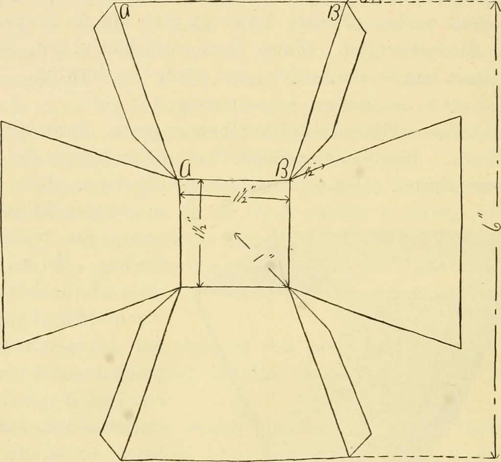 An illustration from Raphia and reed weaving, including also cardboard and paper construction; a practical course for primary and elementary schools, 1901, leaf 49