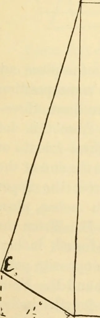 An illustration from Raphia and reed weaving, including also cardboard and paper construction; a practical course for primary and elementary schools, 1901, leaf 50