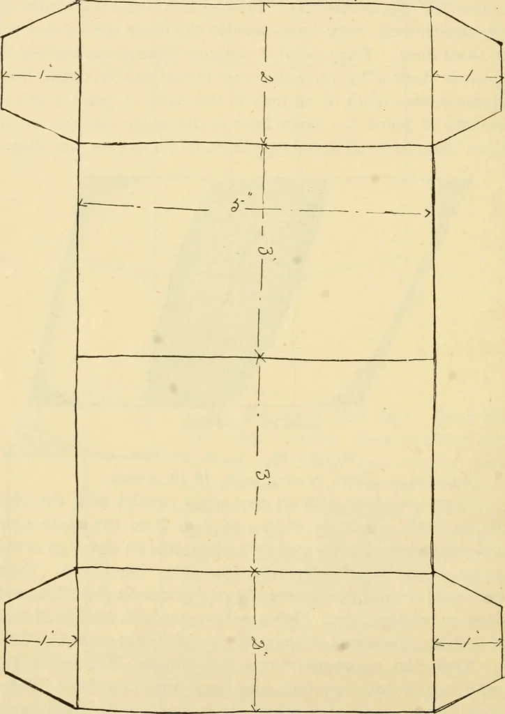 An illustration from Raphia and reed weaving, including also cardboard and paper construction; a practical course for primary and elementary schools, 1901, leaf 55