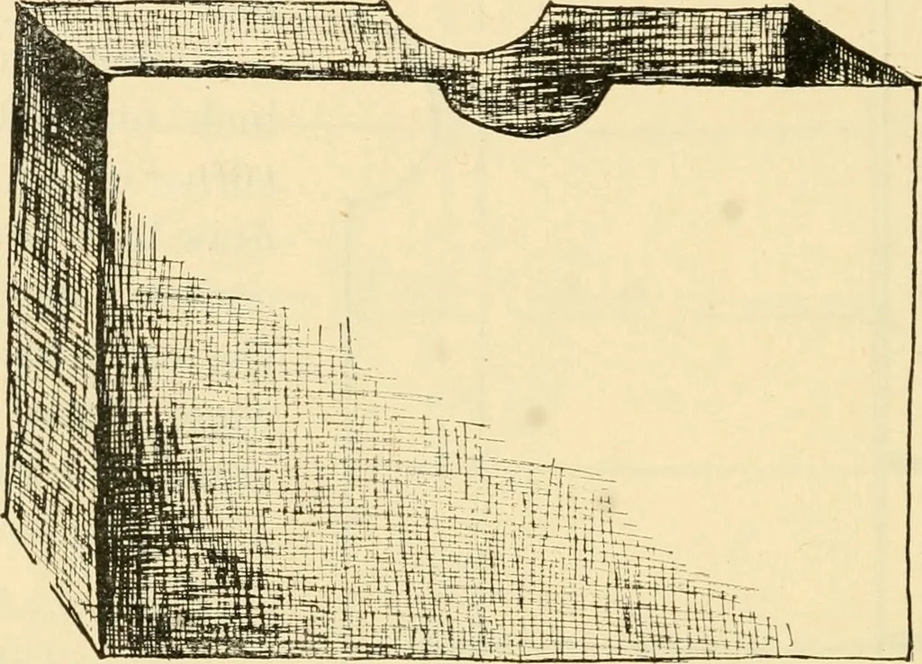 An illustration from Raphia and reed weaving, including also cardboard and paper construction; a practical course for primary and elementary schools, 1901, leaf 57