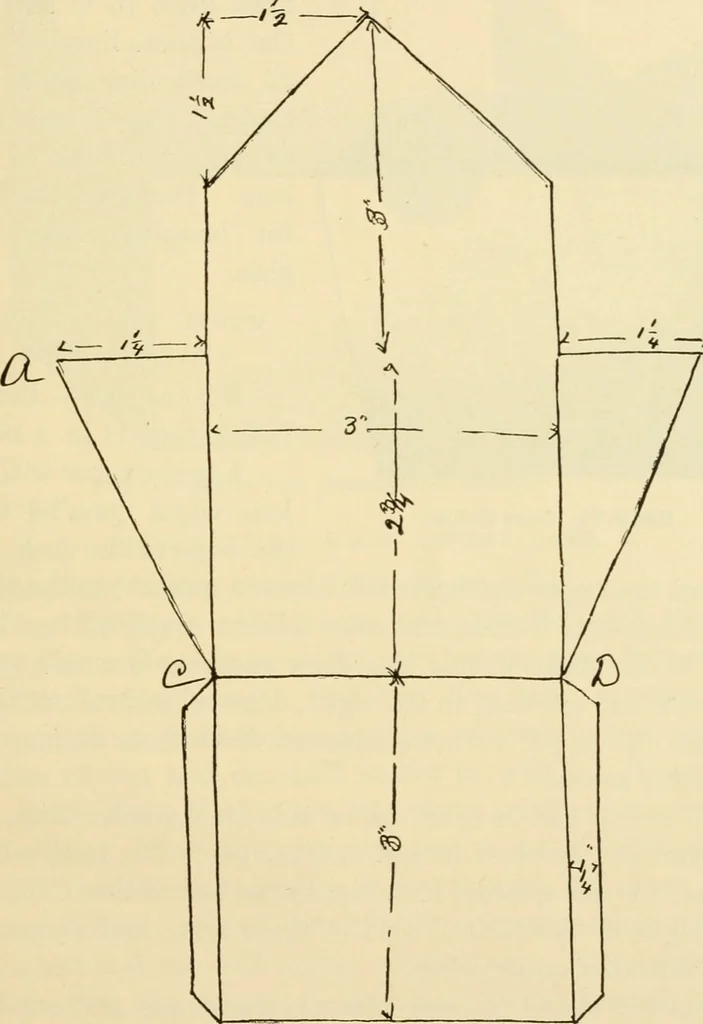 An illustration from Raphia and reed weaving, including also cardboard and paper construction; a practical course for primary and elementary schools, 1901, leaf 58