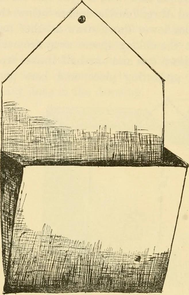 An illustration from Raphia and reed weaving, including also cardboard and paper construction; a practical course for primary and elementary schools, 1901, leaf 59