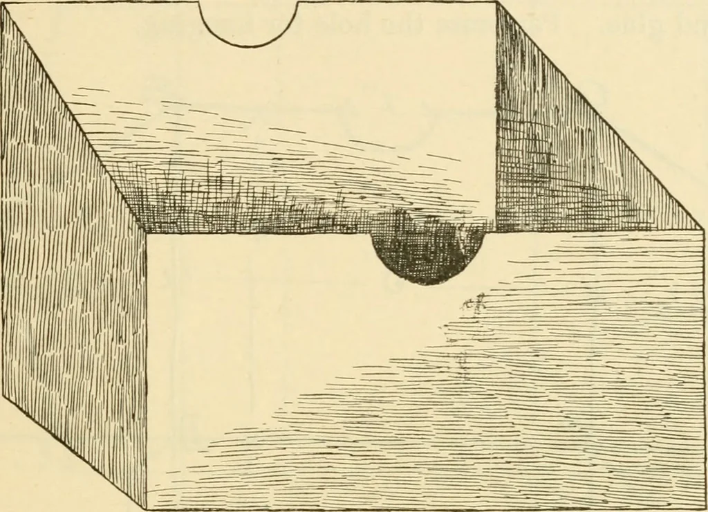 An illustration from Raphia and reed weaving, including also cardboard and paper construction; a practical course for primary and elementary schools, 1901, leaf 60