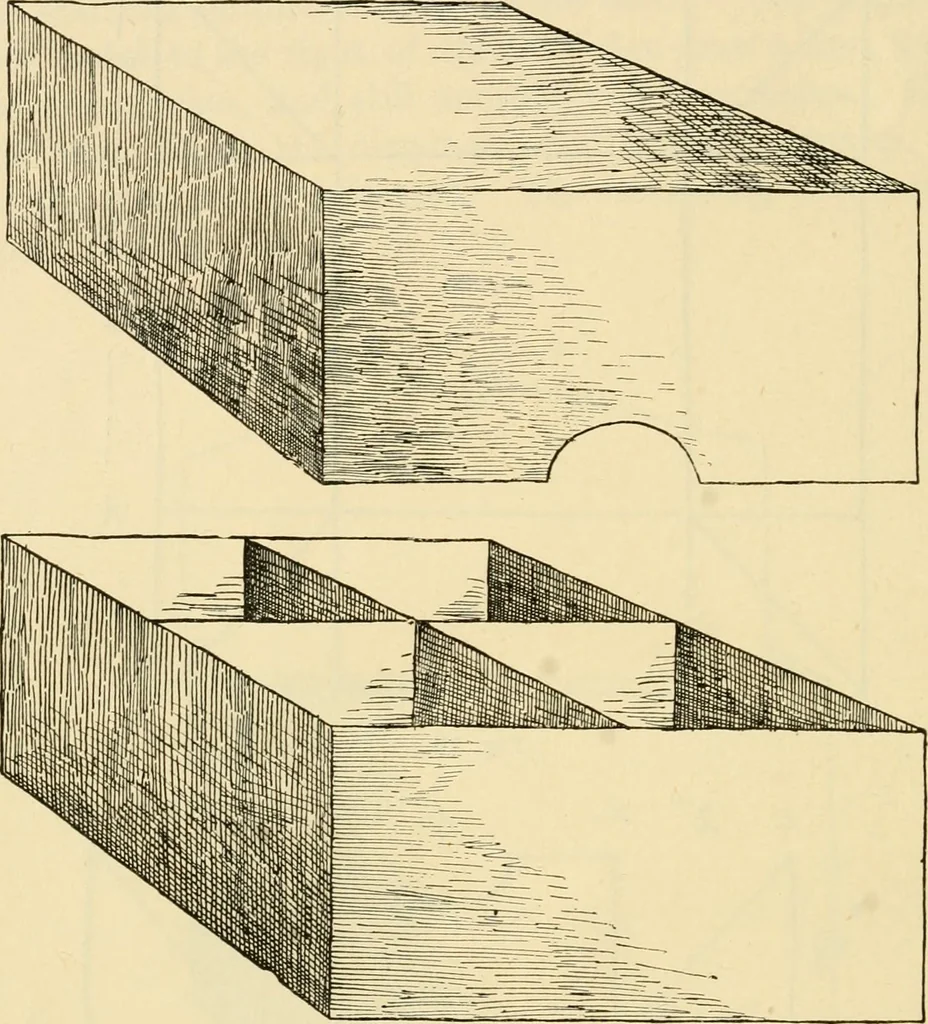 An illustration from Raphia and reed weaving, including also cardboard and paper construction; a practical course for primary and elementary schools, 1901, leaf 65