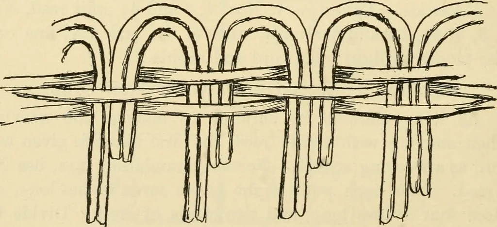 An illustration from Raphia and reed weaving, including also cardboard and paper construction; a practical course for primary and elementary schools, 1901, leaf 67