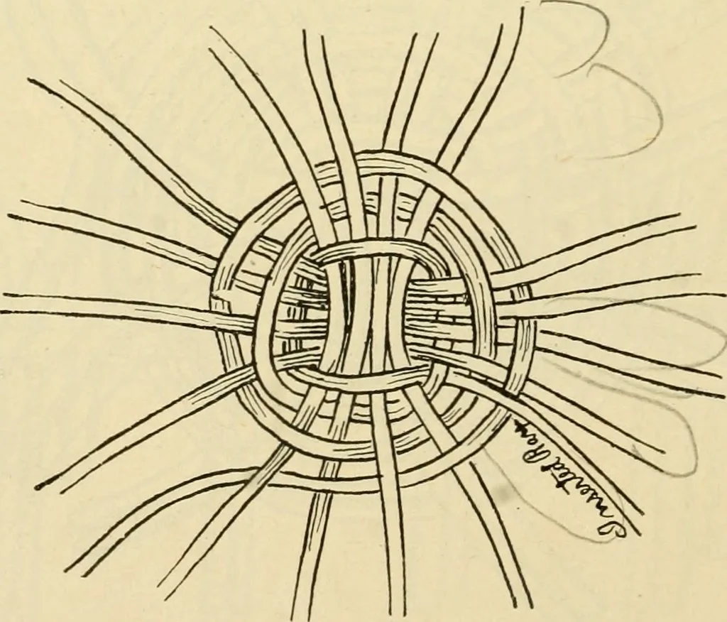 An illustration from Raphia and reed weaving, including also cardboard and paper construction; a practical course for primary and elementary schools, 1901, leaf 69