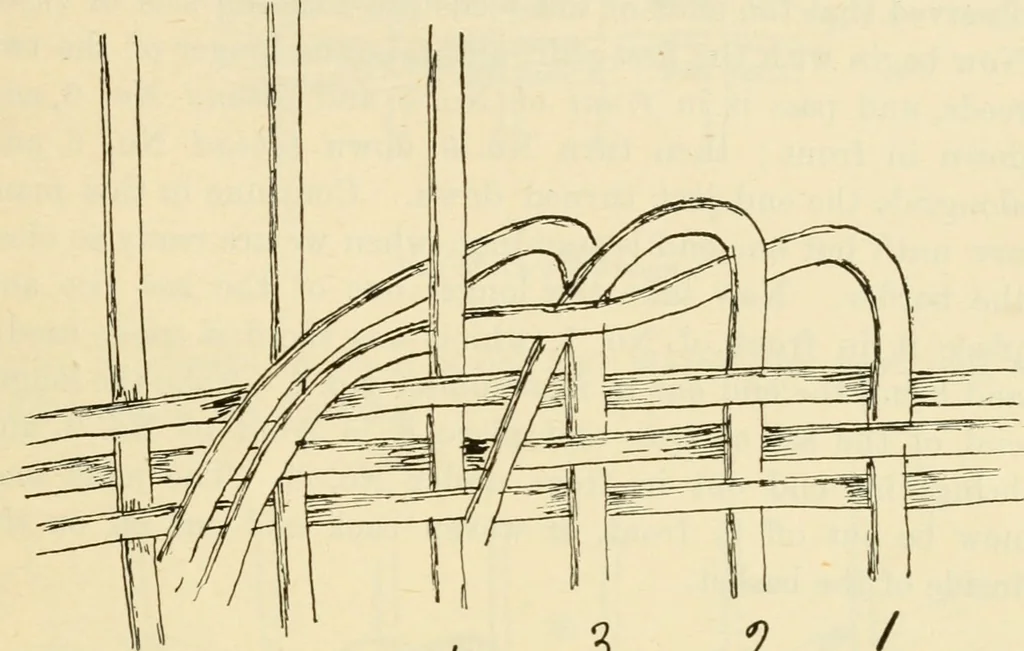 An illustration from Raphia and reed weaving, including also cardboard and paper construction; a practical course for primary and elementary schools, 1901, leaf 74