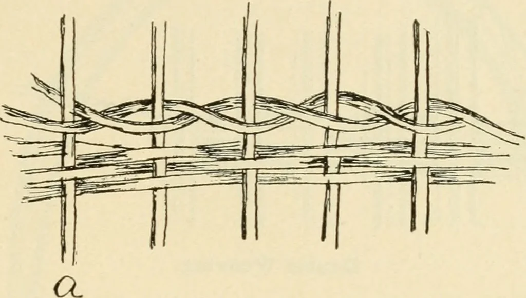An illustration from Raphia and reed weaving, including also cardboard and paper construction; a practical course for primary and elementary schools, 1901, leaf 76