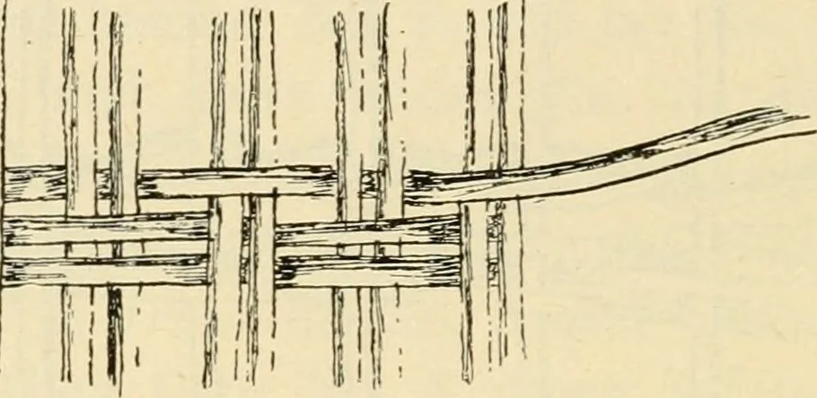 An illustration from Raphia and reed weaving, including also cardboard and paper construction; a practical course for primary and elementary schools, 1901, leaf 77