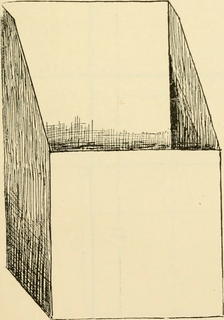 An illustration from Raphia and reed weaving, including also cardboard and paper construction; a practical course for primary and elementary schools, 1901, leaf 80