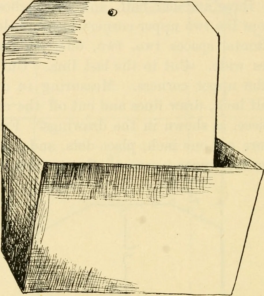 An illustration from Raphia and reed weaving, including also cardboard and paper construction; a practical course for primary and elementary schools, 1901, leaf 83