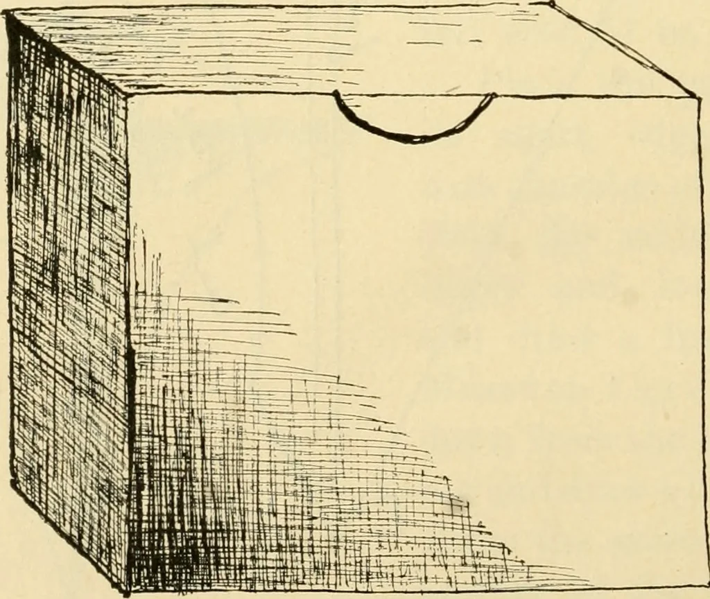 An illustration from Raphia and reed weaving, including also cardboard and paper construction; a practical course for primary and elementary schools, 1901, leaf 85