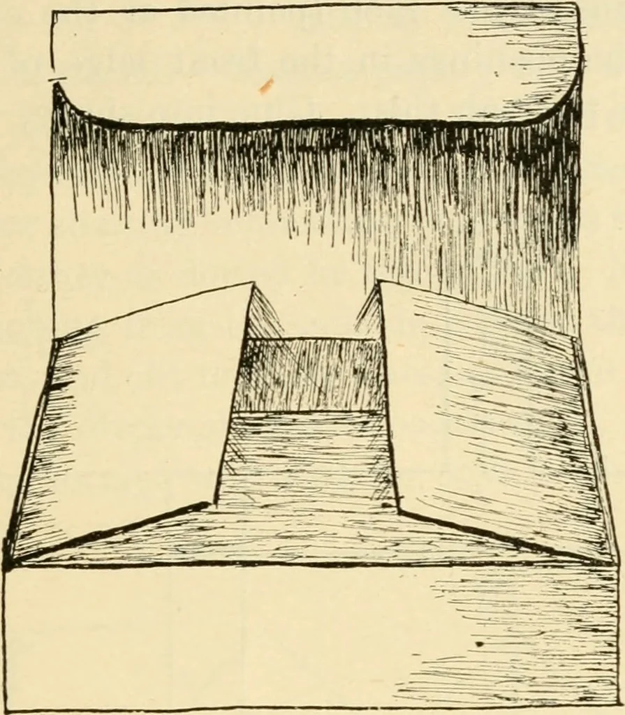 An illustration from Raphia and reed weaving, including also cardboard and paper construction; a practical course for primary and elementary schools, 1901, leaf 88
