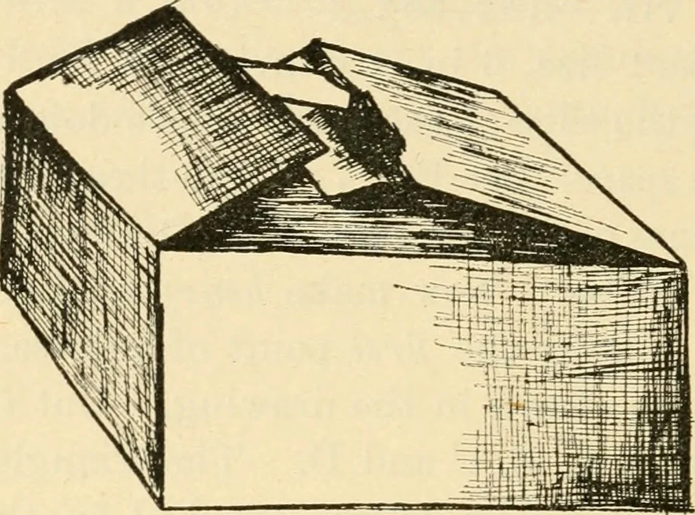 An illustration from Raphia and reed weaving, including also cardboard and paper construction; a practical course for primary and elementary schools, 1901, leaf 91