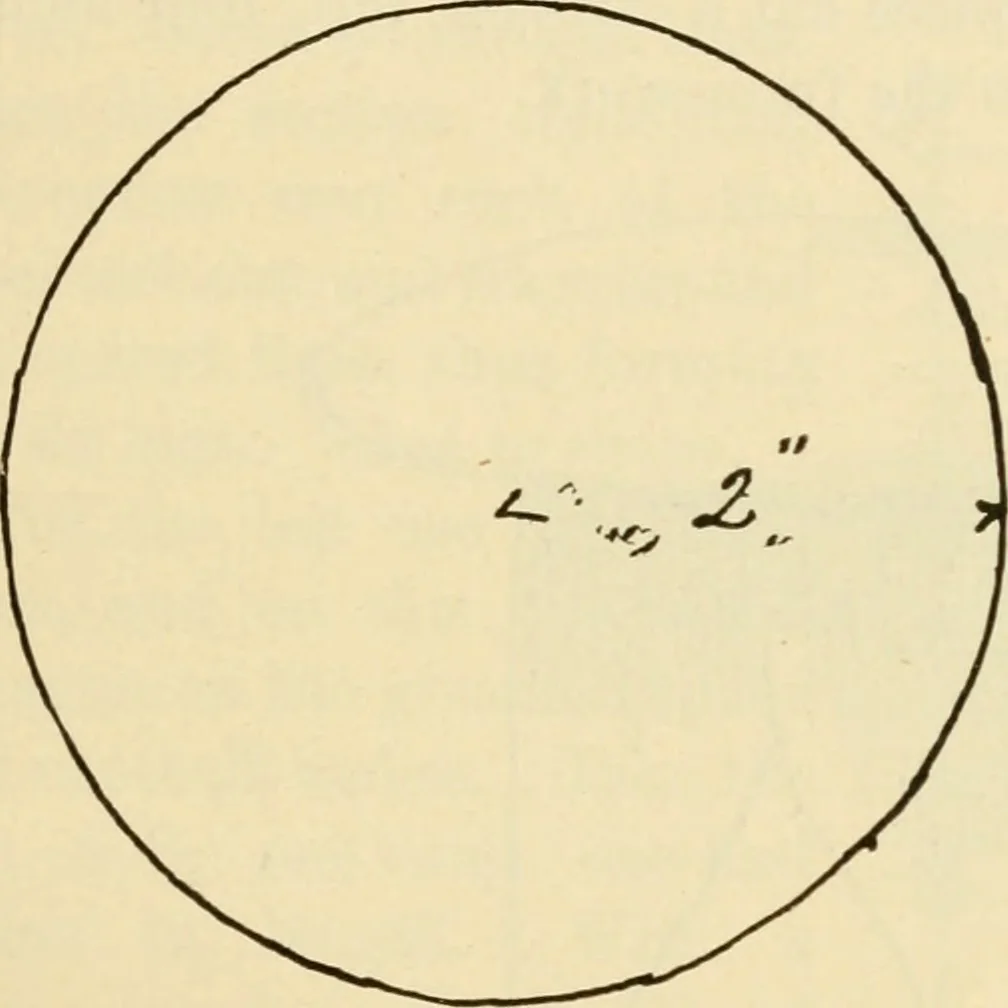 An illustration from Raphia and reed weaving, including also cardboard and paper construction; a practical course for primary and elementary schools, 1901, leaf 94