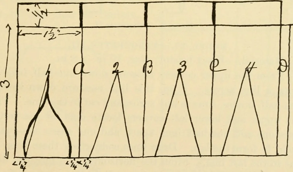 An illustration from Raphia and reed weaving, including also cardboard and paper construction; a practical course for primary and elementary schools, 1901, leaf 94