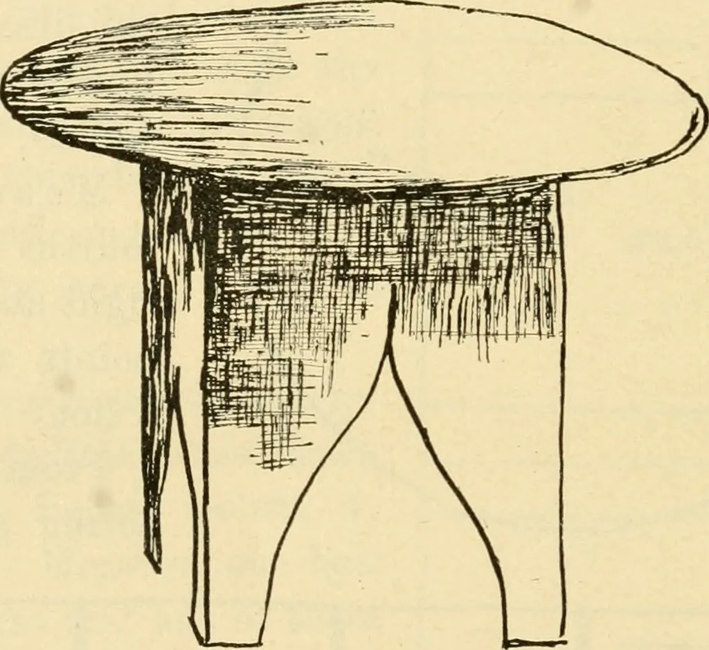 An illustration from Raphia and reed weaving, including also cardboard and paper construction; a practical course for primary and elementary schools, 1901, leaf 95