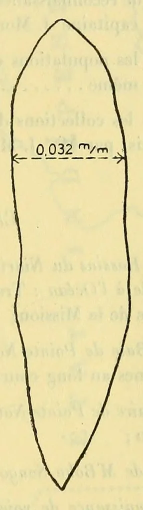 An illustration from Rapport sur une mission au Congo français (1906-1907), 1908, leaf 59