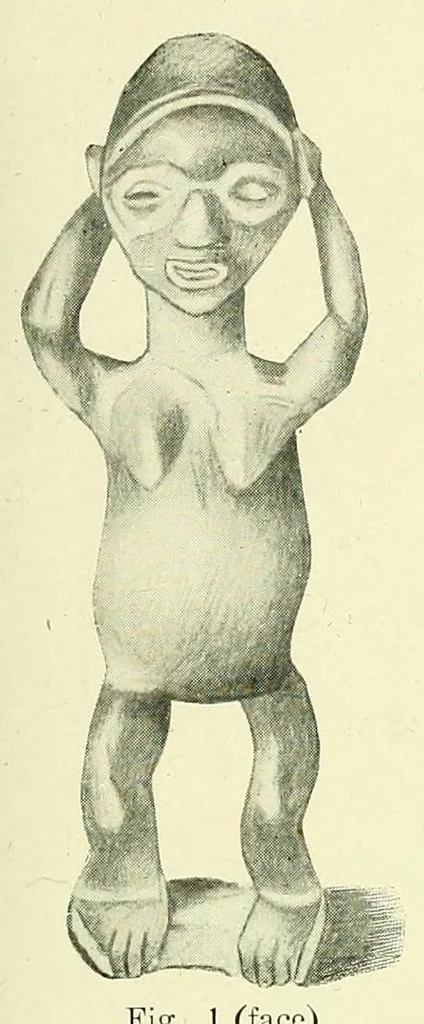An illustration from Rapport sur une mission au Congo français (1906-1907), 1908, leaf 91