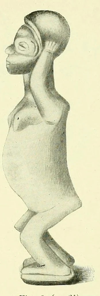 An illustration from Rapport sur une mission au Congo français (1906-1907), 1908, leaf 91