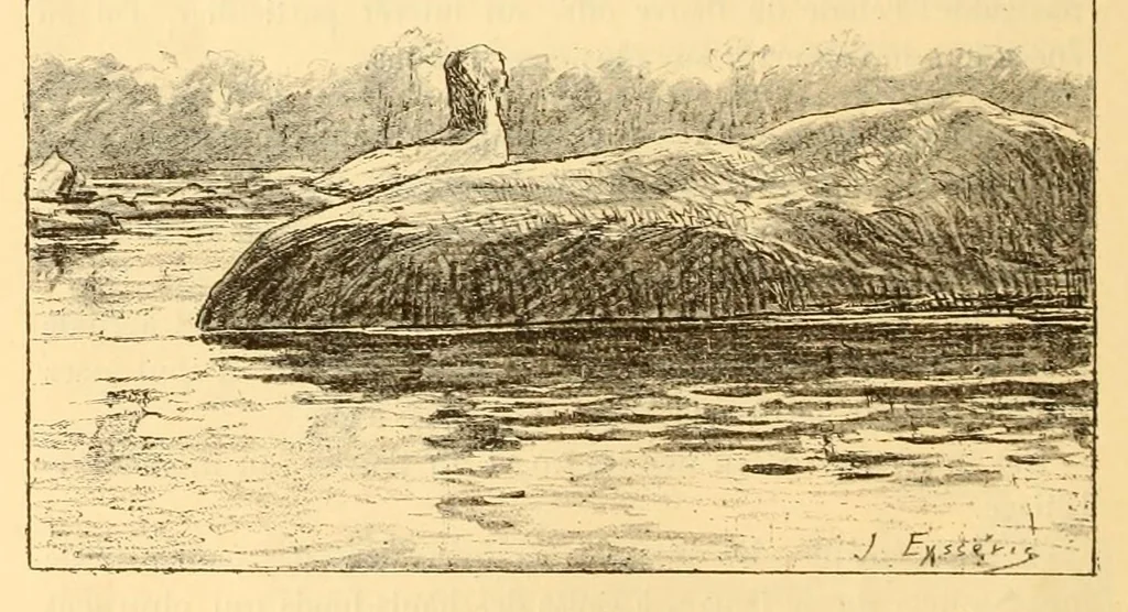 An illustration from Rapport sur une mission scientifique a la Côte d'Ivoire, 1898, leaf 126