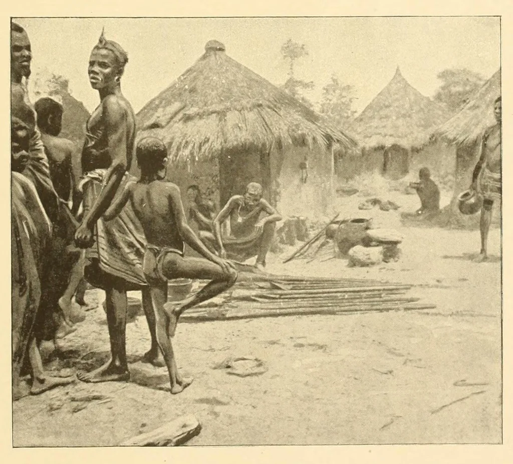 An illustration from Rapport sur une mission scientifique a la Côte d'Ivoire, 1898, leaf 135