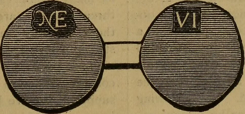 An illustration from Rare American coins: their description, and past and present fictitious values, 1887, leaf 10