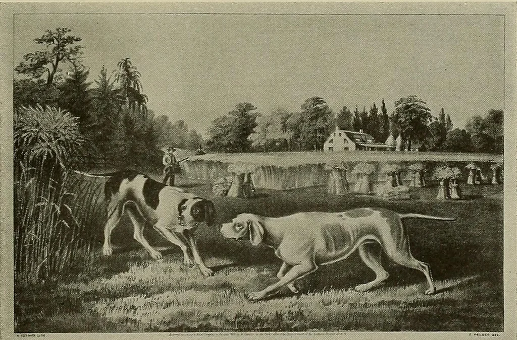 An illustration from Rare and interesting early American prints and paintings : on exhibition and sale at the Michaelsen Gallery ... New York, 1900, leaf 28