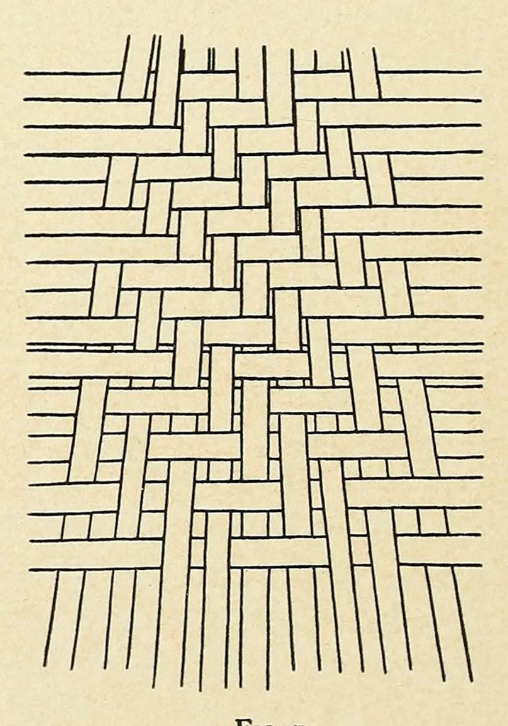 An illustration from A rare Salish blanket, 1926, leaf 24