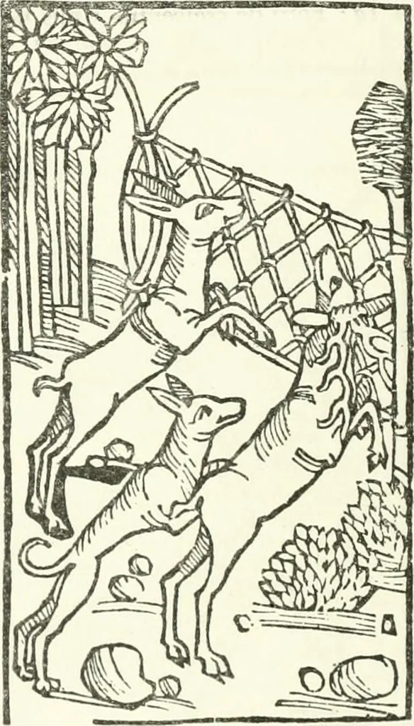 An illustration from Rariora; being notes of some of the printed books, manuscripts, historical documents, medals, engravings, pottery, etc., collected (1858-1900), 1902, leaf 269