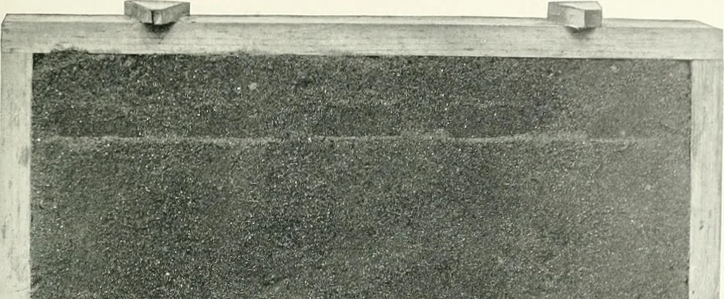 An illustration from Rariora; being notes of some of the printed books, manuscripts, historical documents, medals, engravings, pottery, etc., collected (1858-1900), 1902, leaf 90