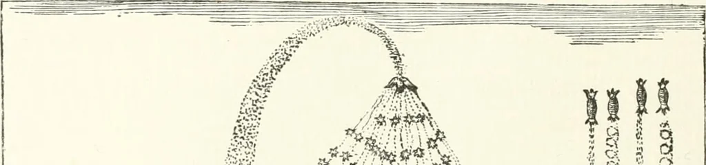 An illustration from Rariora; being notes of some of the printed books, manuscripts, historical documents, medals, engravings, pottery, etc., collected (1858-1900), 1902, leaf 223