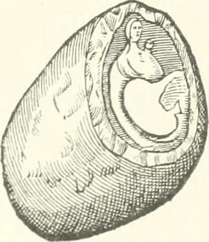 An illustration from Rariora; being notes of some of the printed books, manuscripts, historical documents, medals, engravings, pottery, etc., collected (1858-1900), 1902, leaf 305