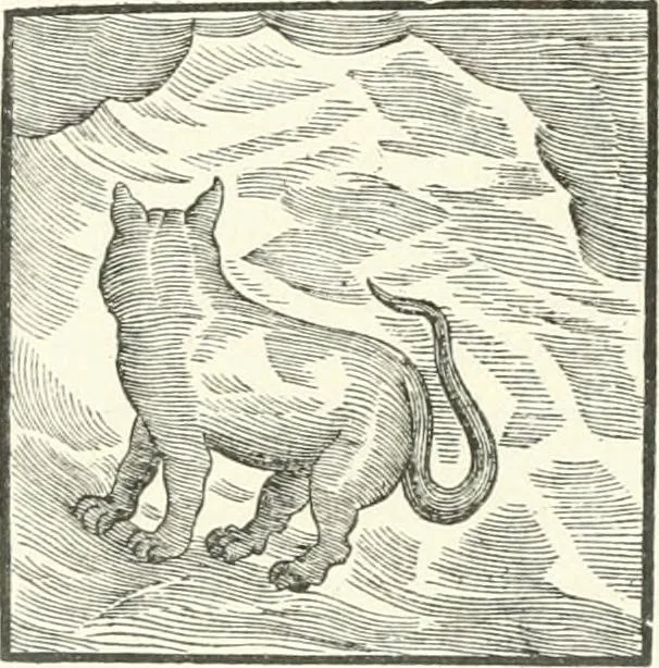 An illustration from Rariora; being notes of some of the printed books, manuscripts, historical documents, medals, engravings, pottery, etc., collected (1858-1900), 1902, leaf 305
