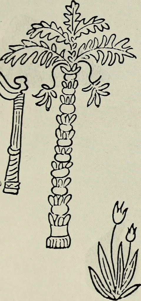 An illustration from Rasch international artists collection ; an exhibition at Associated American Artists Galleries .., 1900, leaf 12