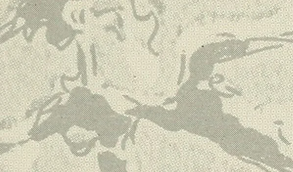 An illustration from Rasch international artists collection ; an exhibition at Associated American Artists Galleries .., 1900, leaf 20