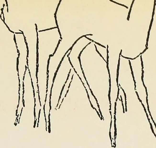 An illustration from Rasch international artists collection ; an exhibition at Associated American Artists Galleries .., 1900, leaf 30