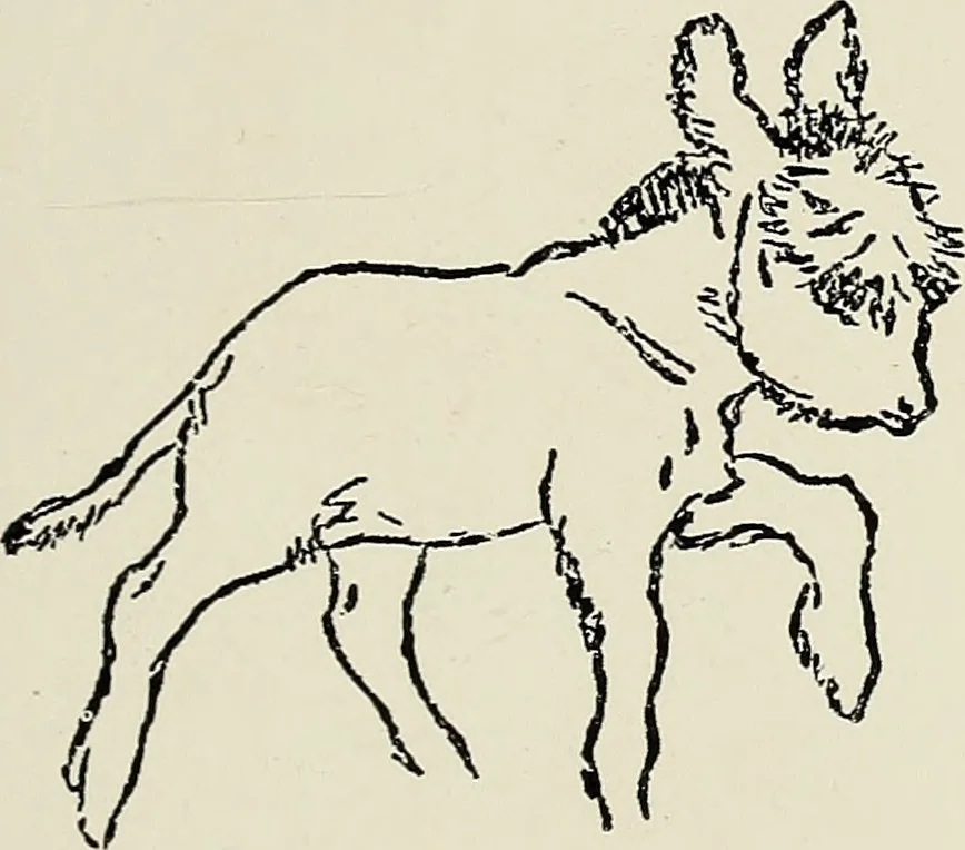 An illustration from Rasch international artists collection ; an exhibition at Associated American Artists Galleries .., 1900, leaf 30