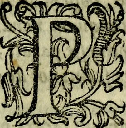 An illustration from Ratio atque institutio studiorum, 1586, leaf 88