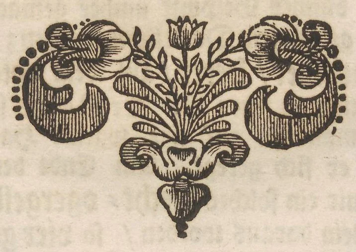 An illustration from Der Raupen wunderbare Verwandelung und sonderbare Blumen-Nahrung : worinnen durch eine gantz-neue Erfindung der Raupen, Würmer, Sommer-vögelein, Motten, Fliegen, und anderer dergleichen Thierlein Ursprung, Speisen und Veränderungen samt ihrer Zeit, Ort und Eigenschaften, den Naturkündigern, Kunstmahlern und Gartenliebhabern zu Dienst, fleissig untersucht, kürtzlich beschrieben, nach dem Leben abgemahlt ins Kupfer gestochen un selbst verlegt, 1679, leaf 26