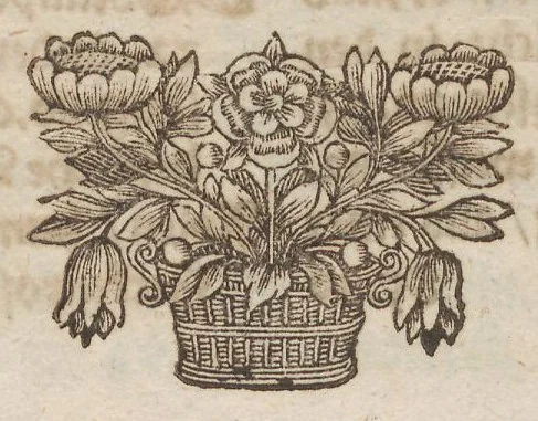 An illustration from Der Raupen wunderbare Verwandelung und sonderbare Blumen-Nahrung : worinnen durch eine gantz-neue Erfindung der Raupen, Würmer, Sommer-vögelein, Motten, Fliegen, und anderer dergleichen Thierlein Ursprung, Speisen und Veränderungen samt ihrer Zeit, Ort und Eigenschaften, den Naturkündigern, Kunstmahlern und Gartenliebhabern zu Dienst, fleissig untersucht, kürtzlich beschrieben, nach dem Leben abgemahlt ins Kupfer gestochen un selbst verlegt, 1679, leaf 434