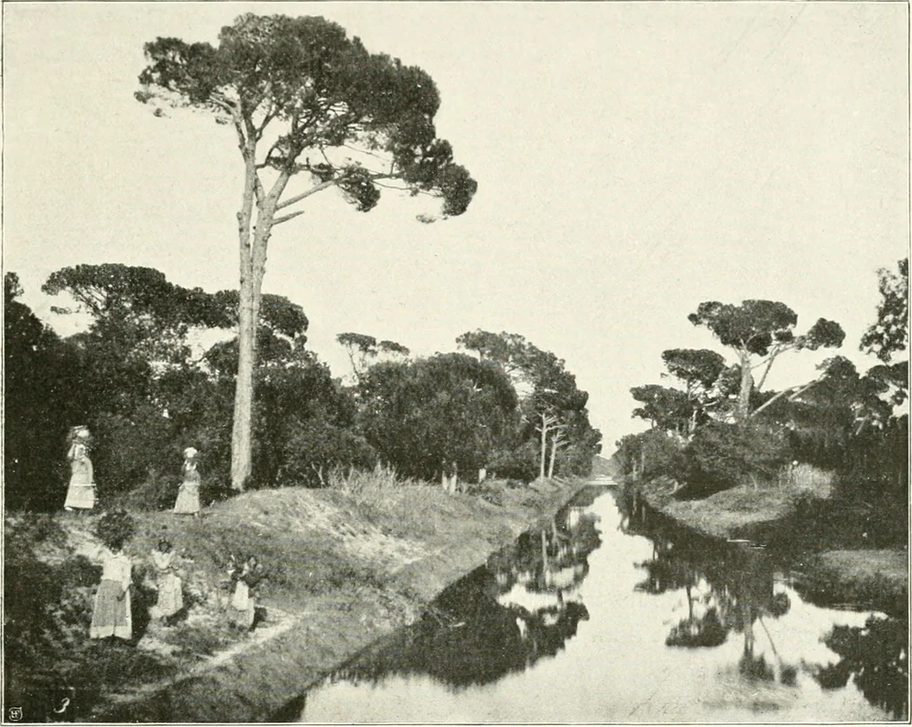 An illustration from Ravenne, 1907, leaf 138