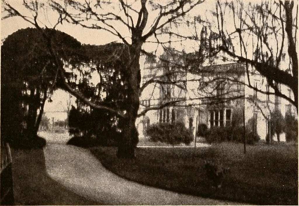 An illustration from Raymond, or Life and death : with examples of the evidence for survival of memory and affection after death, 1916, leaf 254